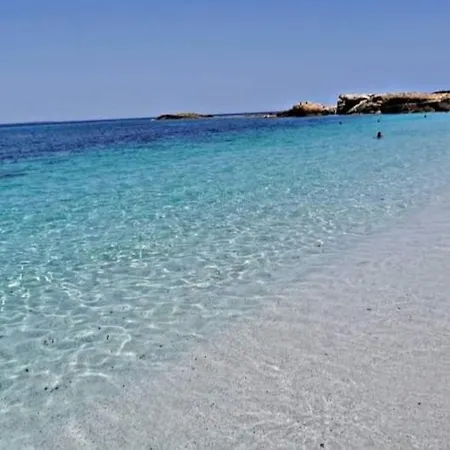 Sa Crabarissa * Càbras